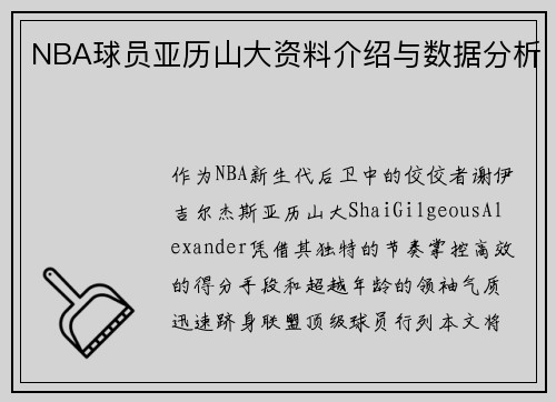 NBA球员亚历山大资料介绍与数据分析